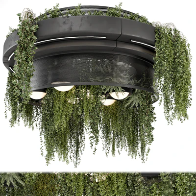 Indoor Hanging Plants in Metal Box - Set 1506 — Ver 1