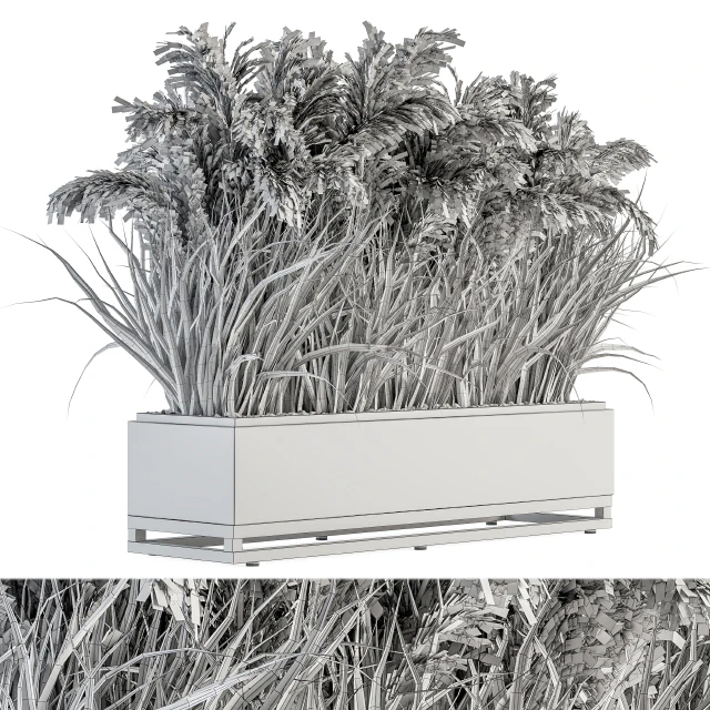 indoor Plant Set 131 - Dried Plant box — Descargar