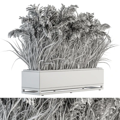indoor Plant Set 131 - Dried Plant box — Ver 2