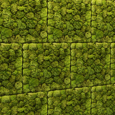 Stone and moss — Ver 2