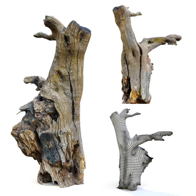 Tree stump  pack 2 — View 3