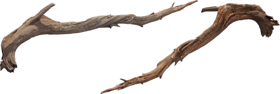 desert western tree log dead medium 002 — Descargar