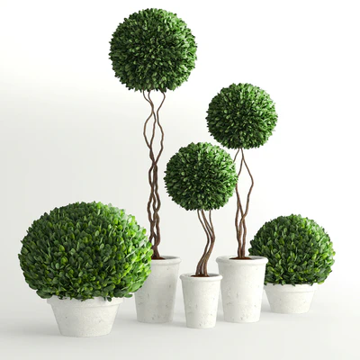 Collection of Plants 2 — Скачать