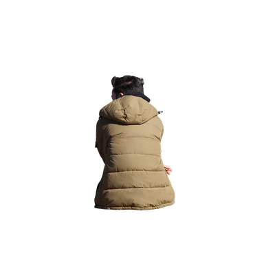 310 — Скачать