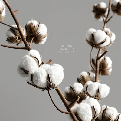 Cotton & candles — Ver 3