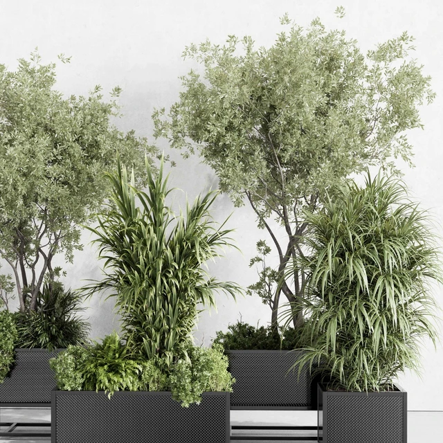 metal box plants on stand - set indoor plant 425 — Скачать