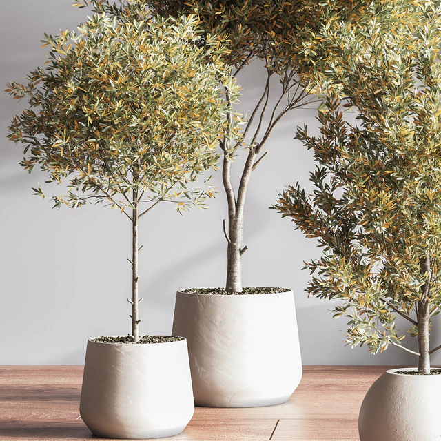 IndoorSetPlant054 — Descargar