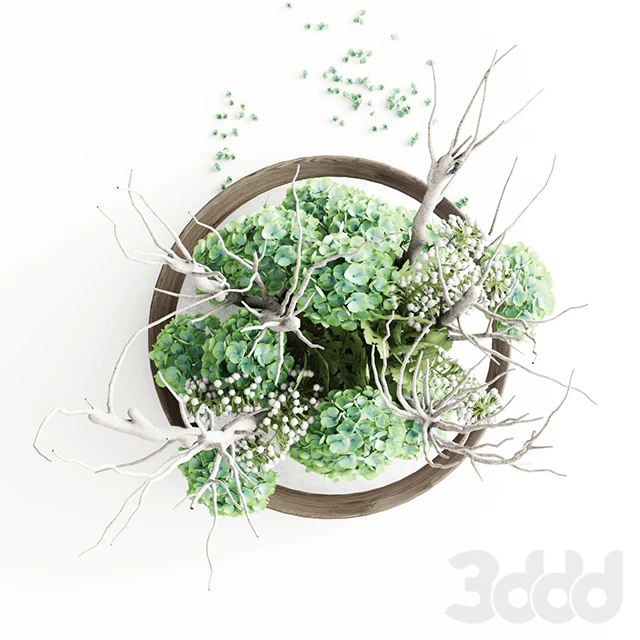 Hydrangea Vase — Descargar