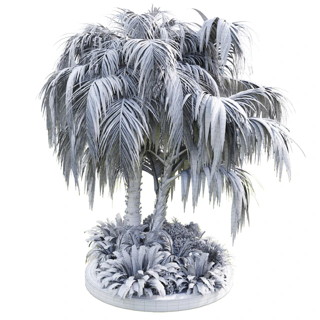 Collection Outdoor plant 39 in garden pot tree palm bush fern concrete dirt old vase — Descargar