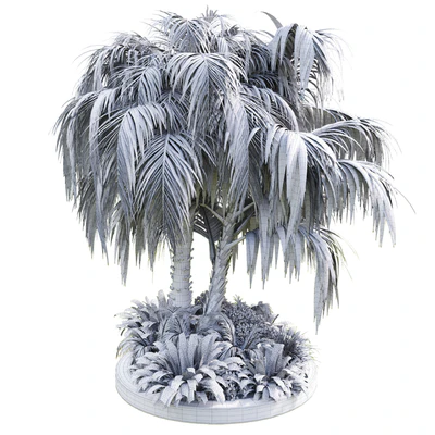 Collection Outdoor plant 39 in garden pot tree palm bush fern concrete dirt old vase — Ver 2