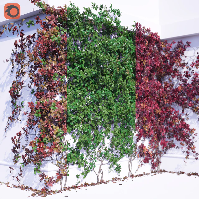 Girlish Grape 2 — Descargar