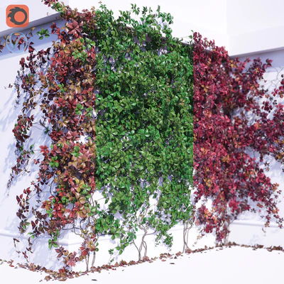 Girlish Grape 2 — Ver 2