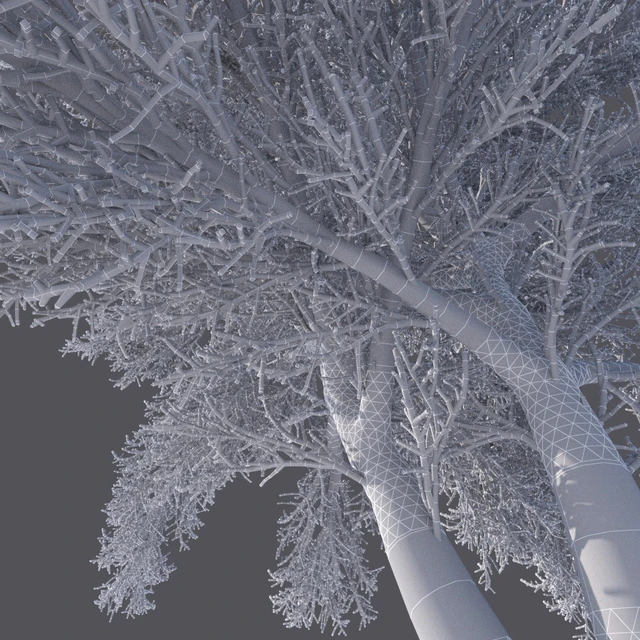 Winter tree (6 meters) — Descargar
