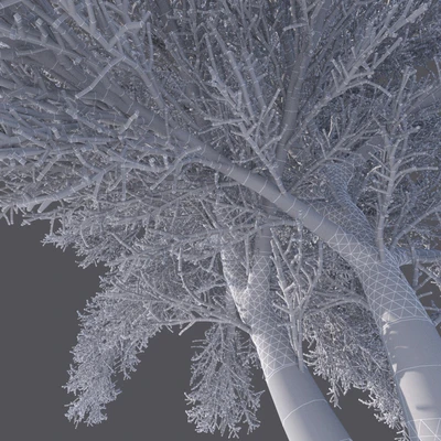 Winter tree (6 meters) — Ver 2