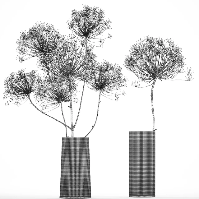 Bouquet of dried flowers in a glass vase with dry branches Hogweed . 158. — Descargar