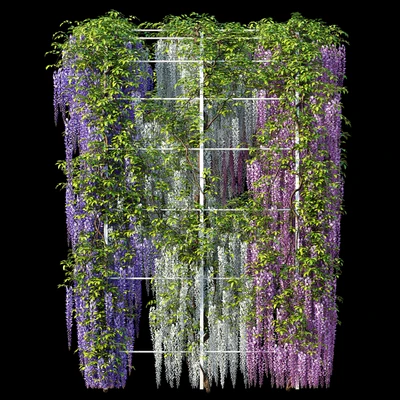 Arch with Wisteria — Ver 2