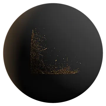 corner pine debris 006 — Скачать