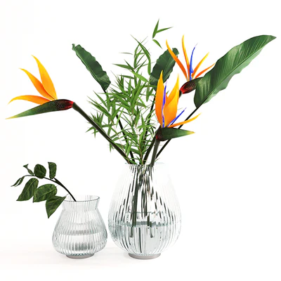Exotic bouquet- strelitzia — Скачать