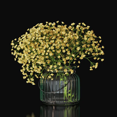 Gypsophila 03 — Ver 1
