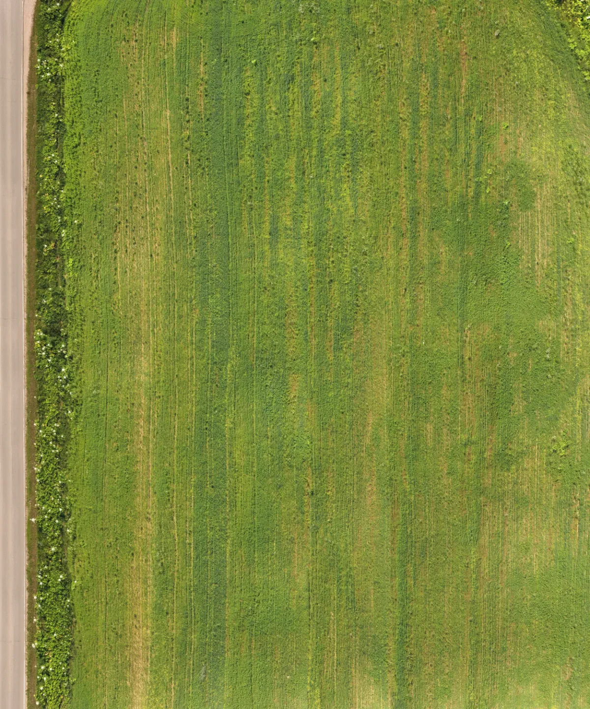 field summer 012 — Скачать