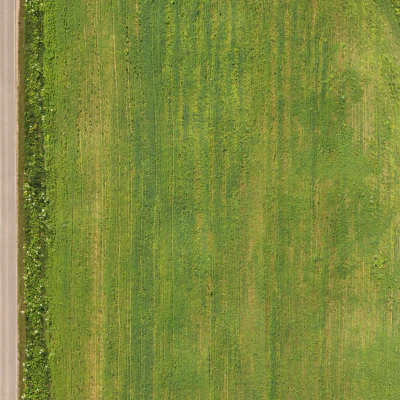 field summer 012 — Скачать