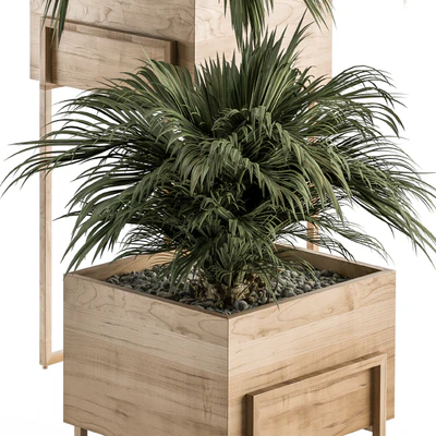 indoor Plant Set 318 - Plant Set in Wood Box — Вид 3