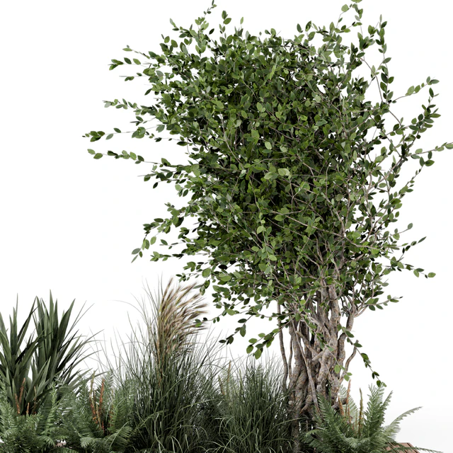 Outdoor Garden set bush and Tree - Garden Set 361 — Descargar