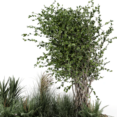 Outdoor Garden set bush and Tree - Garden Set 361 — Ver 4