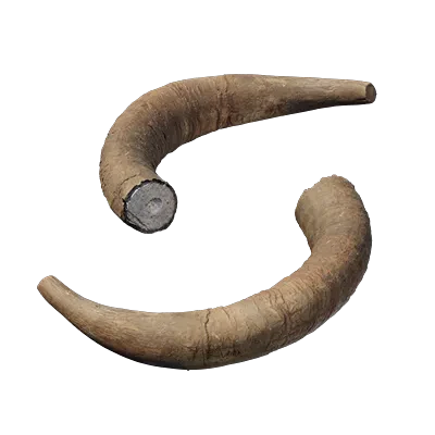 skulls horn 001 — Descargar