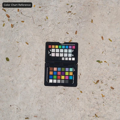 fallen leaves on dirty concrete texture white — Вид 3