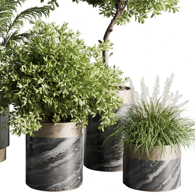 indoor plant set 57 — Вид 2