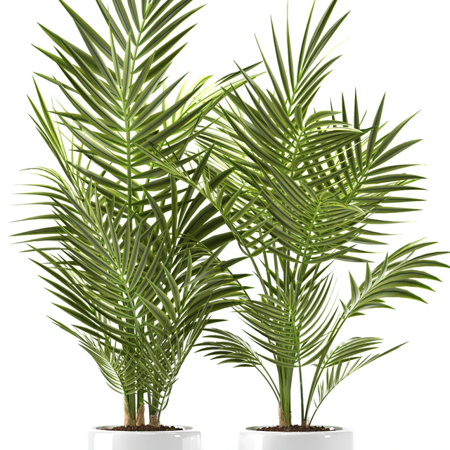 PLANTS 124 — Descargar