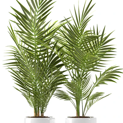 PLANTS 124 — Ver 2