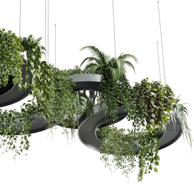 Hanging Plants - Indoor plants 309 — Вид 2