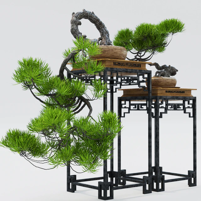 Semi bonsai — Скачать