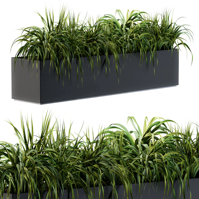 Ranch Grass plants in box - Outdoor Set 63 — Descargar