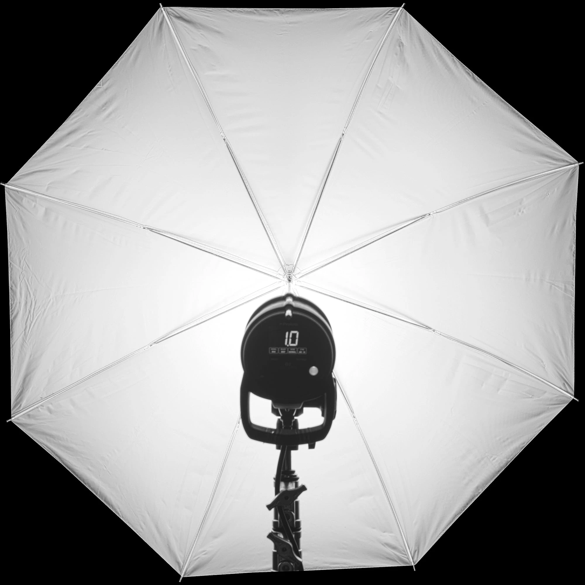 rls024 profoto umbrella lastolite white translucent — Download