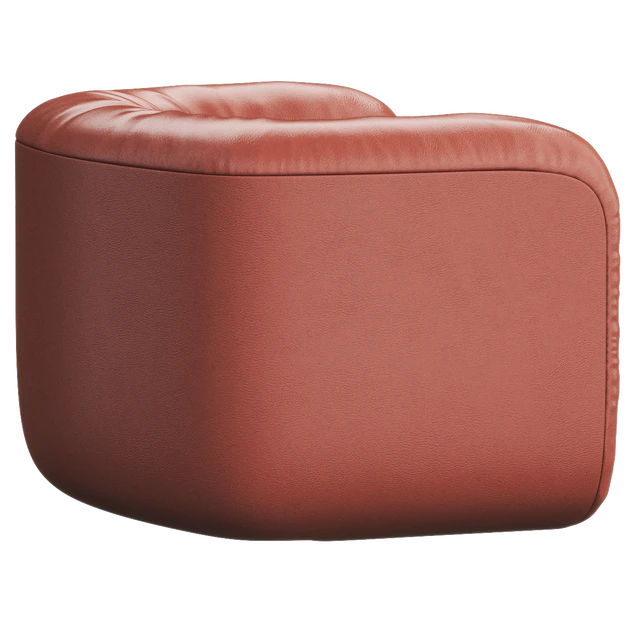 DS-707 Leather armchair By de Sede — Descargar