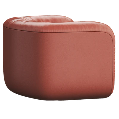 DS-707 Leather armchair By de Sede — Ver 2