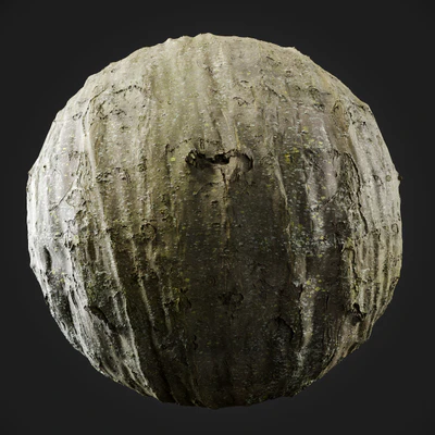 trees and barks 043 — Descargar