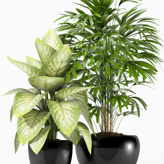 PLANTS 162 — Скачать