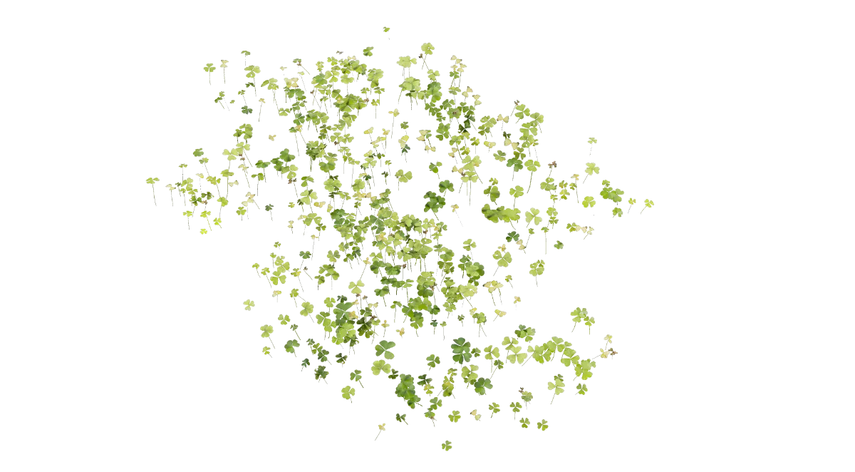 clover varieties 001 — Descargar