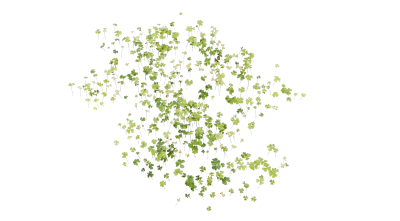 clover varieties 001 — Descargar