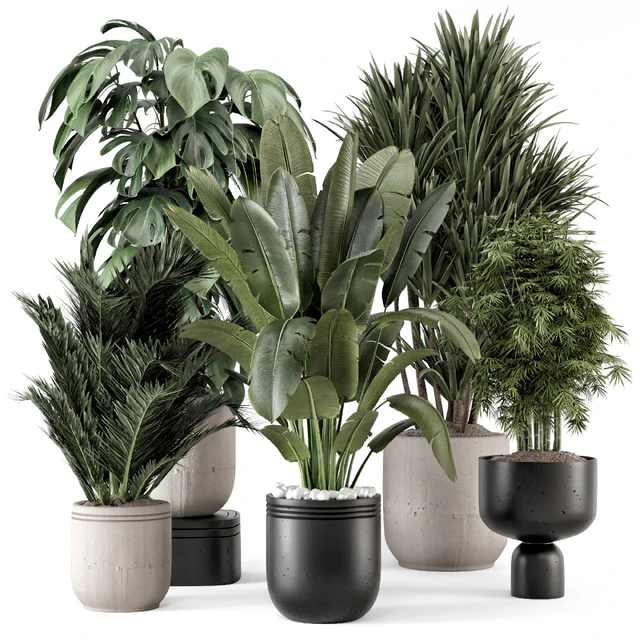 Indoor Plants  in rusty Concrete Pot - Set 1331 — Скачать