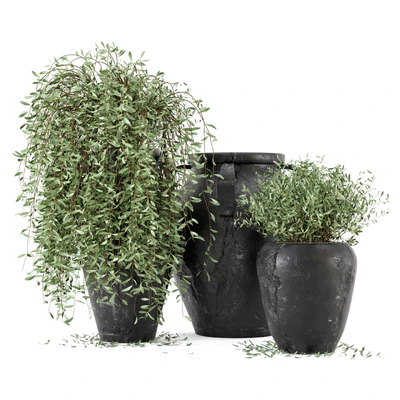 Outdoor Plants tree in rusty Concrete Pot - Set 2 — Ver 2