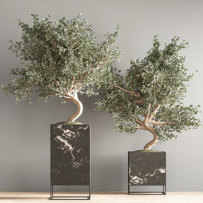 indoor plant set 39 — Ver 4
