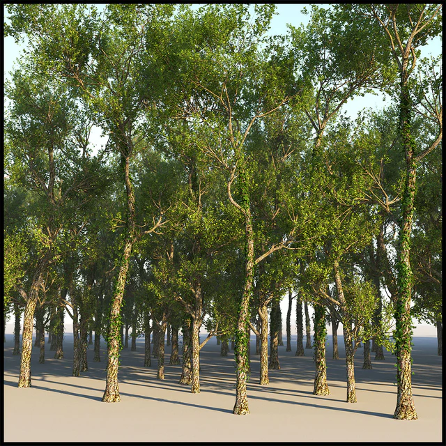 Tree Grab — Скачать