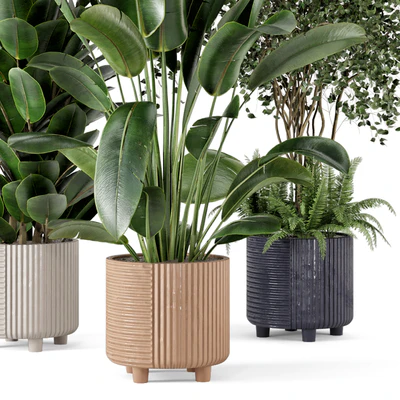 Indoor Planters in Cecilia Ficonstone Pot - Set 350 — Вид 2