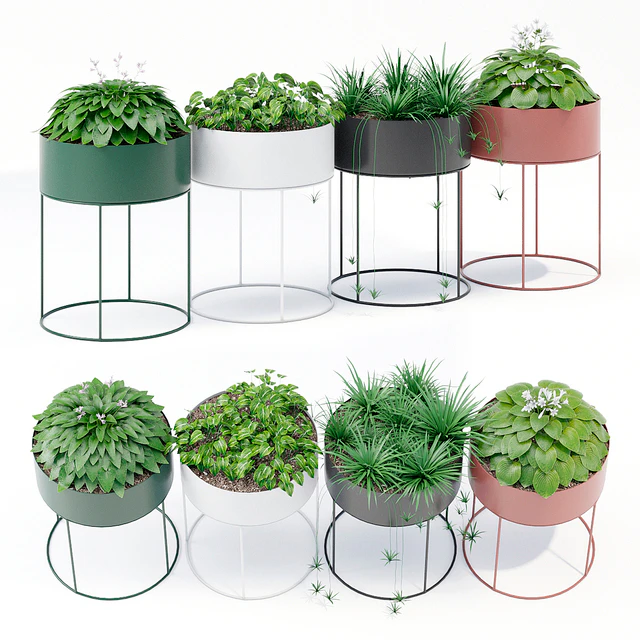 Plant box round — Скачать