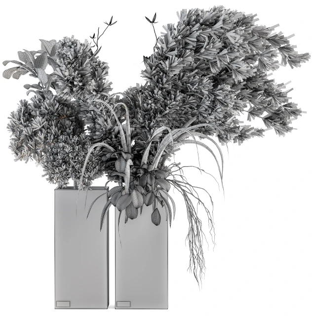 Dry plants 39 - Dried Plant Pampas — Descargar